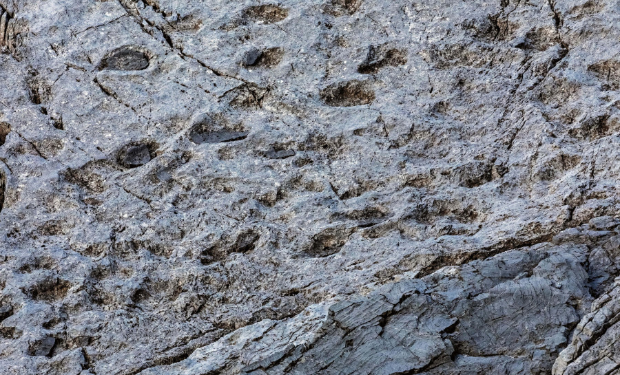 δεινόσαυροι-ιταλια