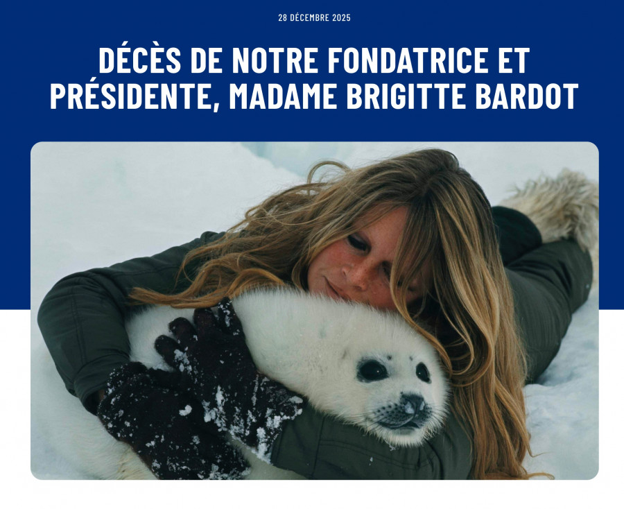 Μπριζίτ Μπαρντό