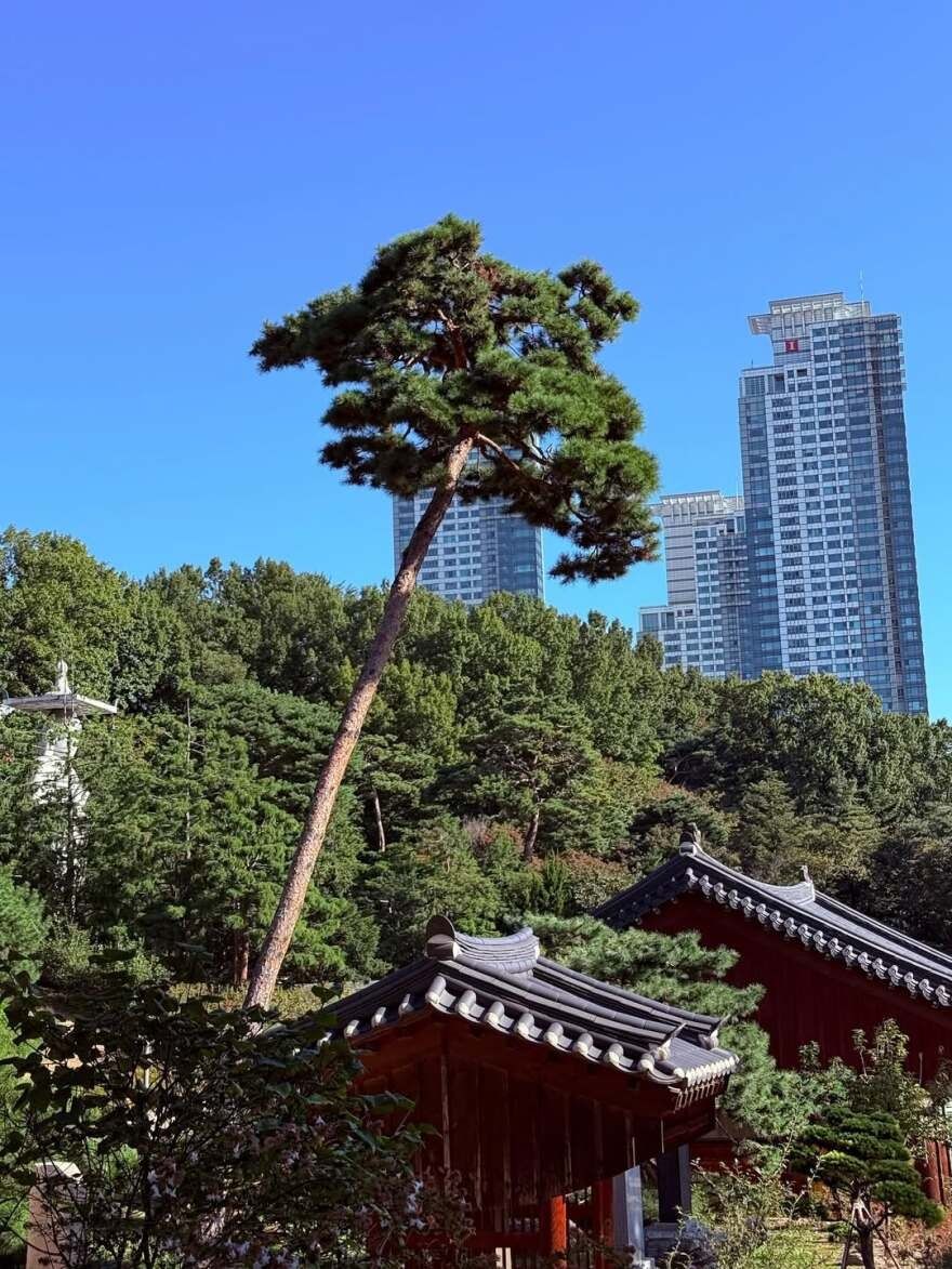 Ιρίνα Σάικ: Το φωτογραφικό άλμπουμ από το ταξίδι της στη Σεούλ