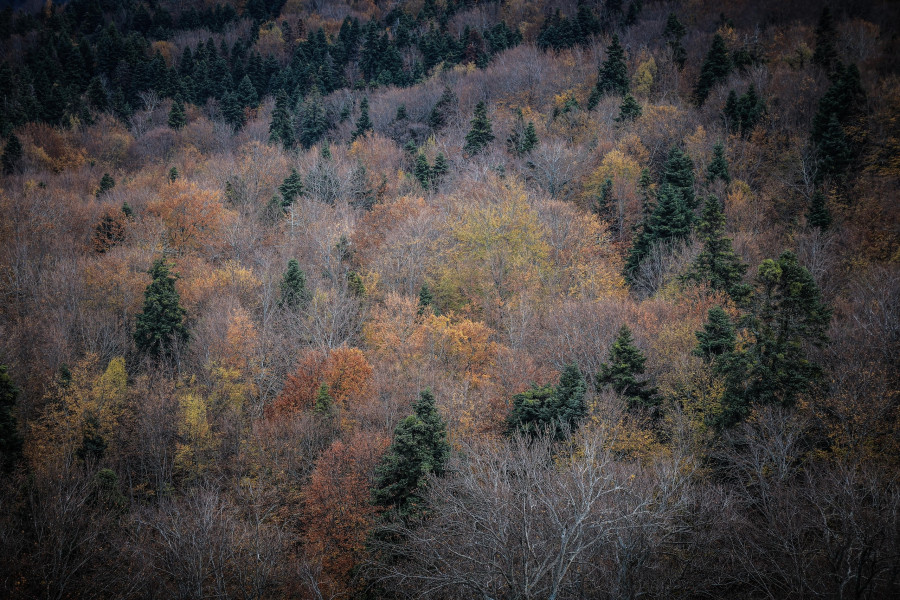 ΦΘΙΝΟΠΩΡΟ ΣΤΟΝ ΚΙΣΣΑΒΟ (EUROKINISSI)
