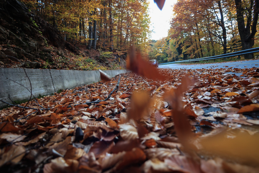 ΦΘΙΝΟΠΩΡΟ ΣΤΟΝ ΚΙΣΣΑΒΟ (EUROKINISSI)