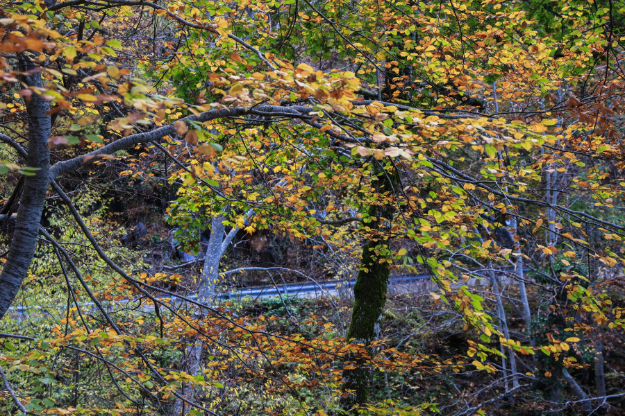 ΦΘΙΝΟΠΩΡΟ ΣΤΟΝ ΚΙΣΣΑΒΟ (EUROKINISSI)