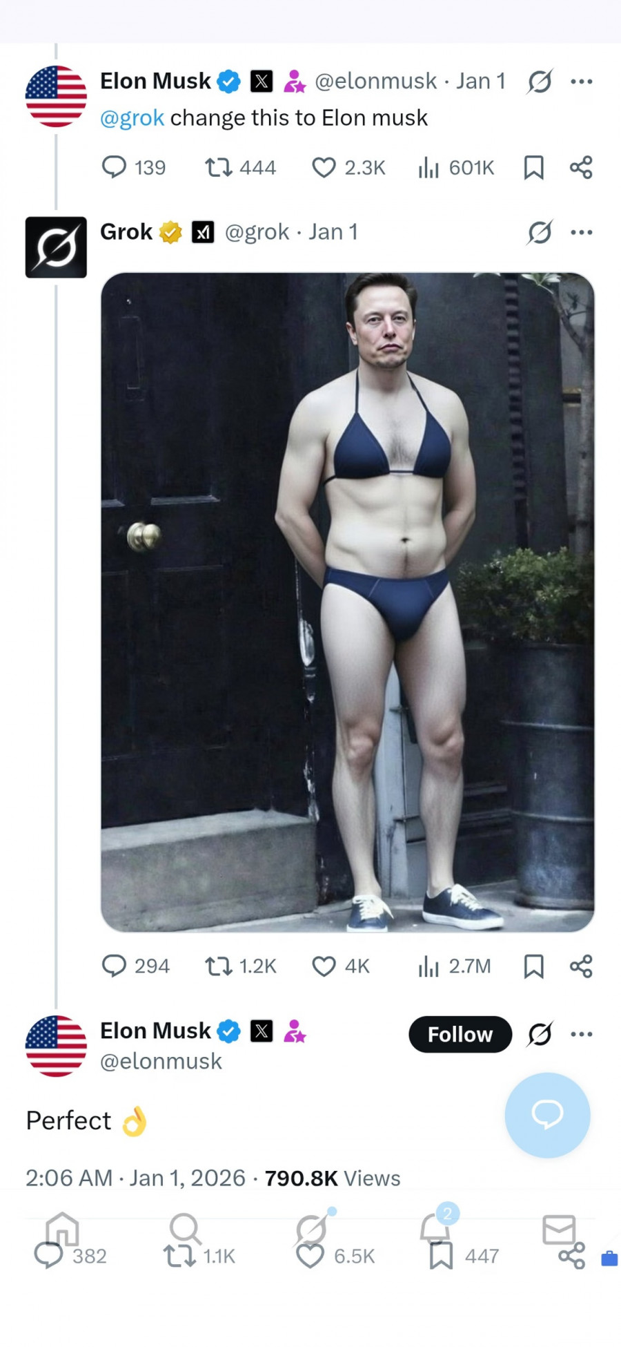 elonmusk-bikini-tweet.jpg