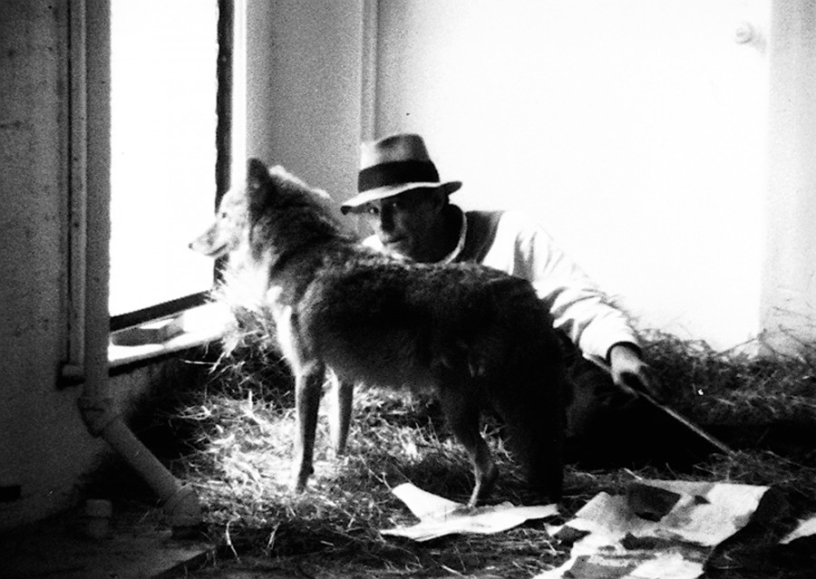 joseph-beuys-i-like-america-and-america-likes-me-1974.jpg