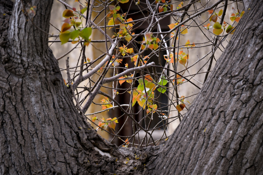 Λίμνη Καϊάφα