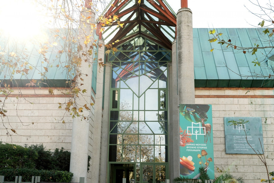 Μουσείο Γουλανδρή