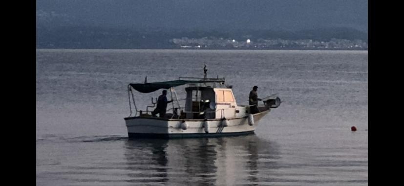 Βαλυράκης - Ντοκουμέντο 