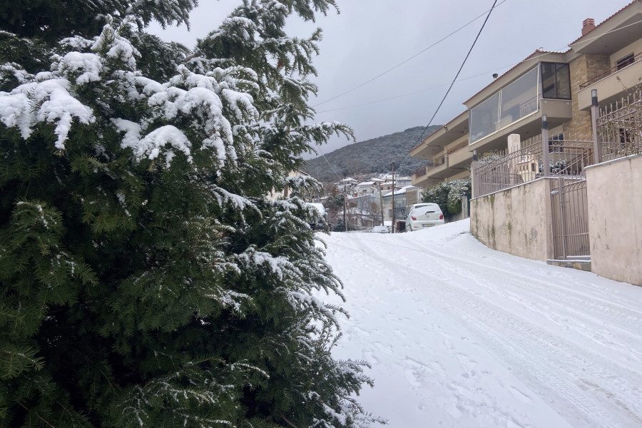 ΧΙΟΝΟΠΤΩΣΗ ΣΤΟ ΧΟΡΤΙΑΤΗ ΣΤΗ ΘΕΣΣΑΛΟΝΙΚΗ