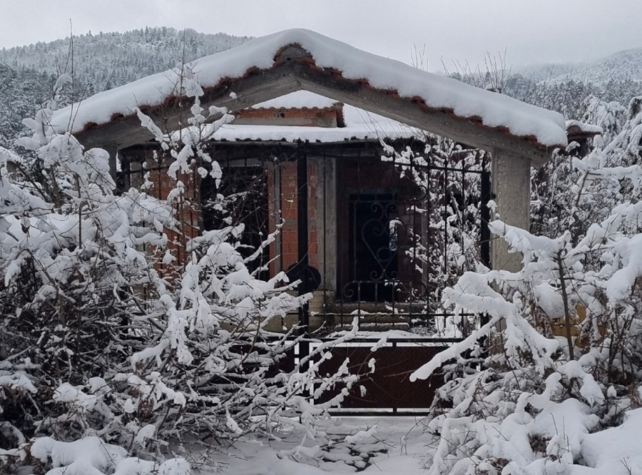 Καρυά Ολύμπου 