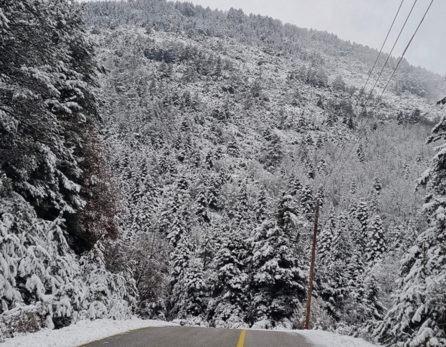 Καρυά Ολύμπου 