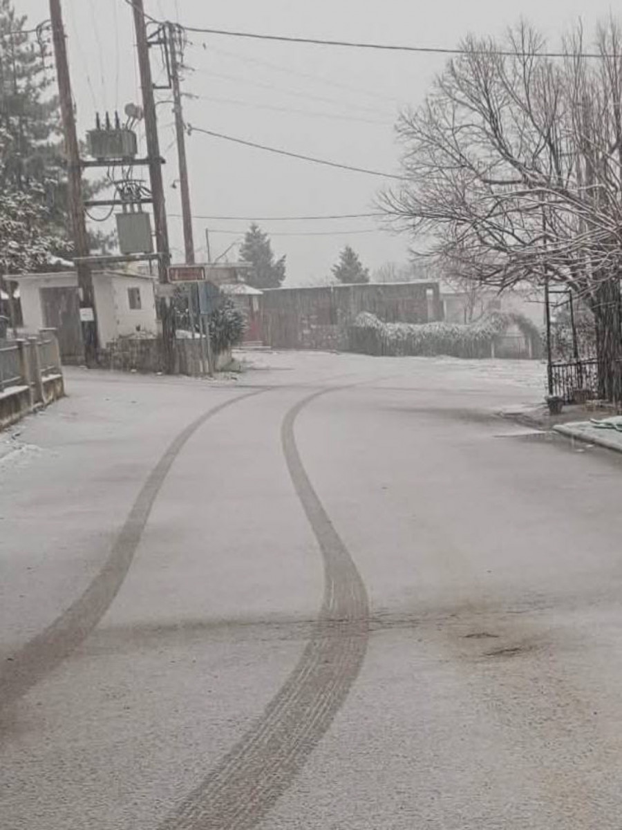  Κοκκινόγη Ελασσόνας