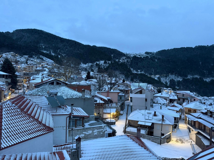 Λιβάδι Ελασσόνας