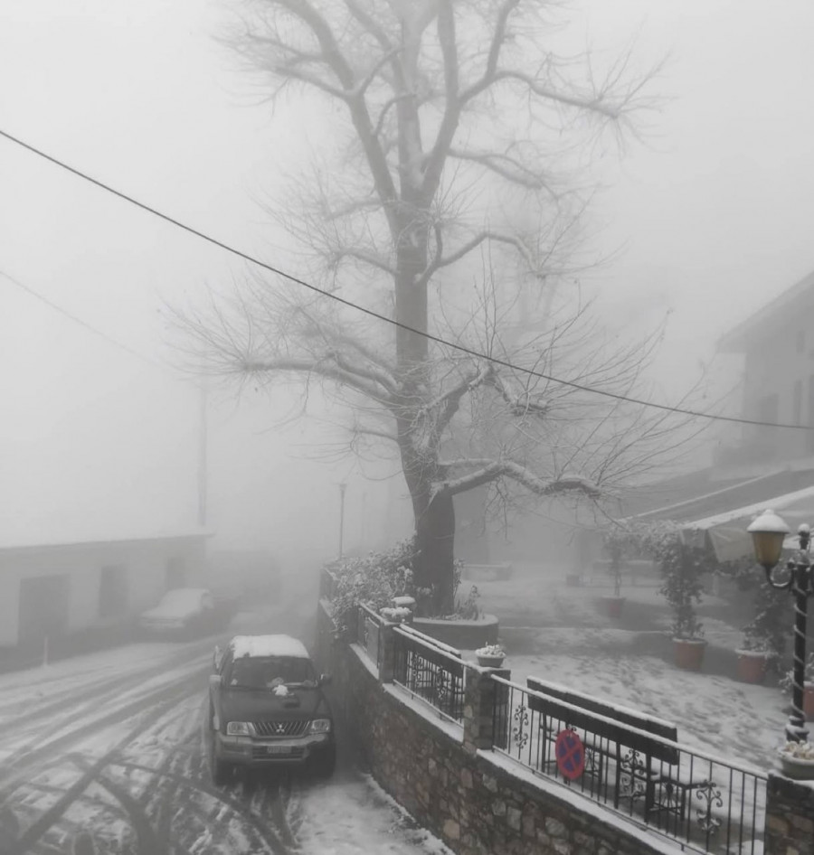 Ραψάνη Δήμου Τεμπών Λάρισας 
