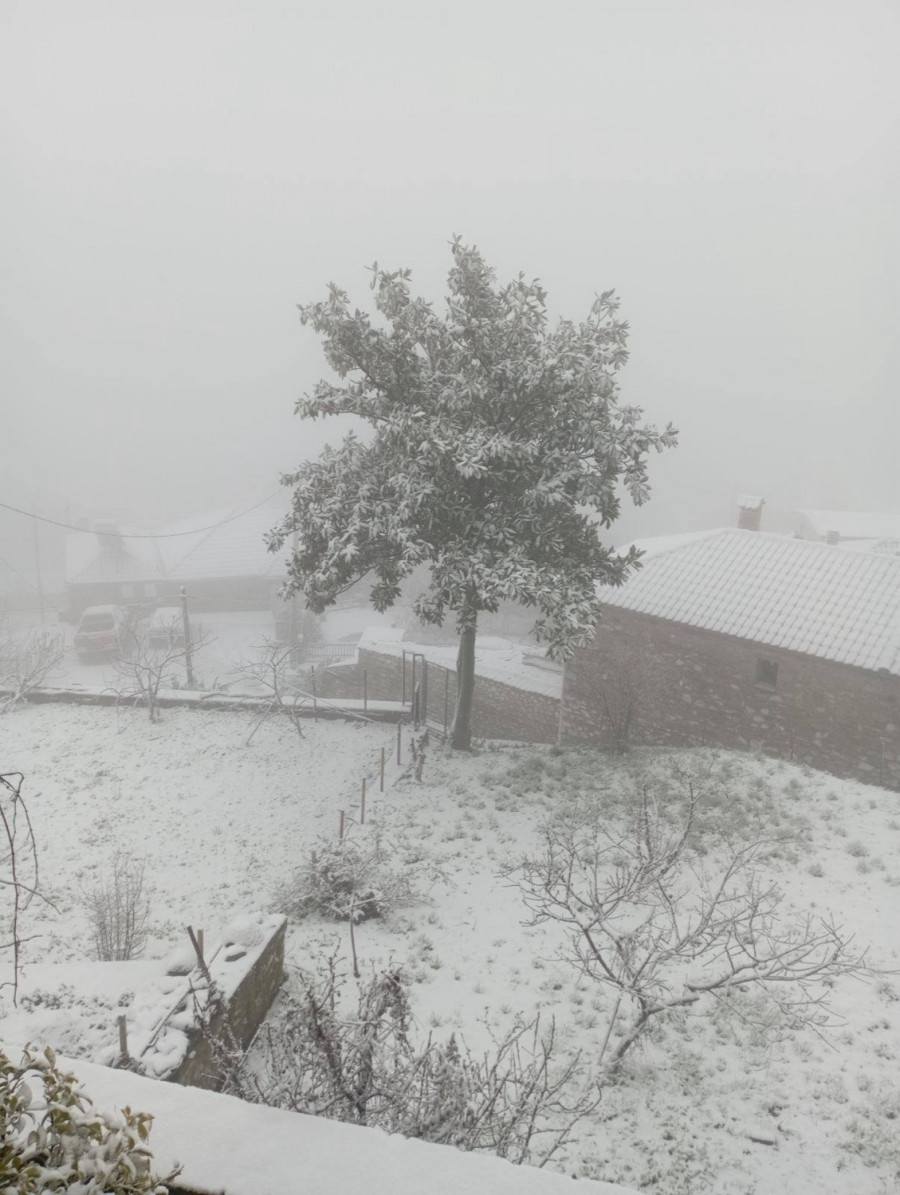 Ραψάνη Δήμου Τεμπών Λάρισας 