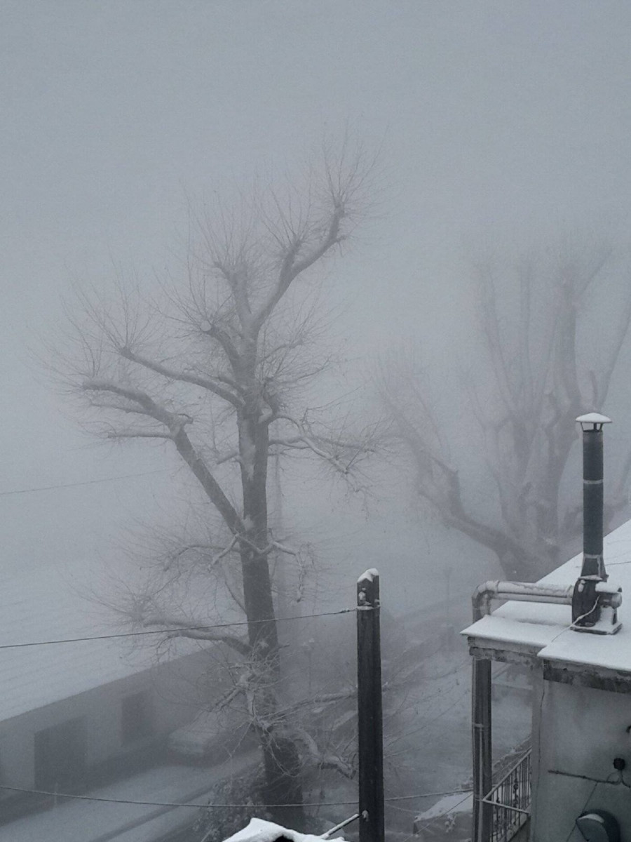 Ραψάνη Δήμου Τεμπών Λάρισας 