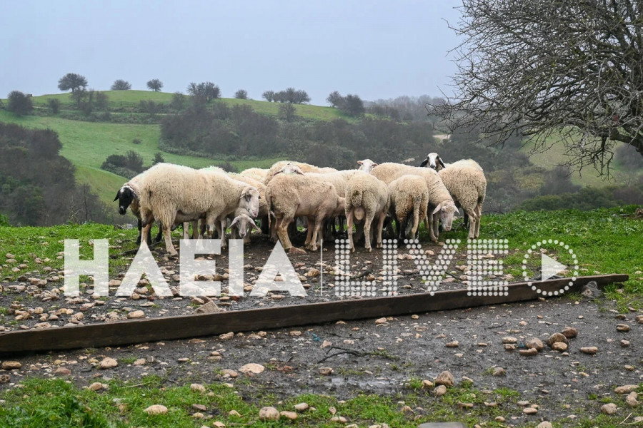 Ανεμοστρόβιλος Ηλεία 