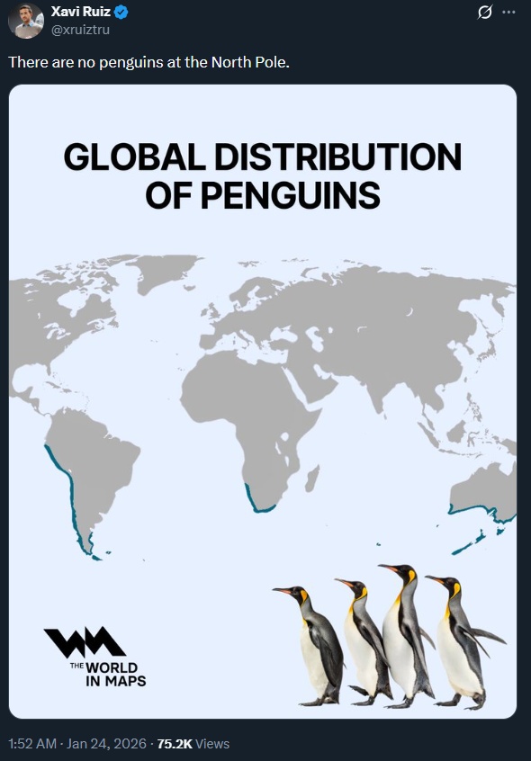 pinguins.jpg