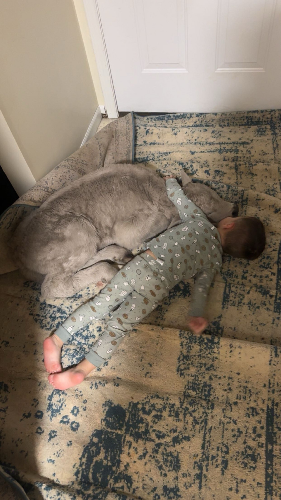 Μοσχάρι - Κεντάκι