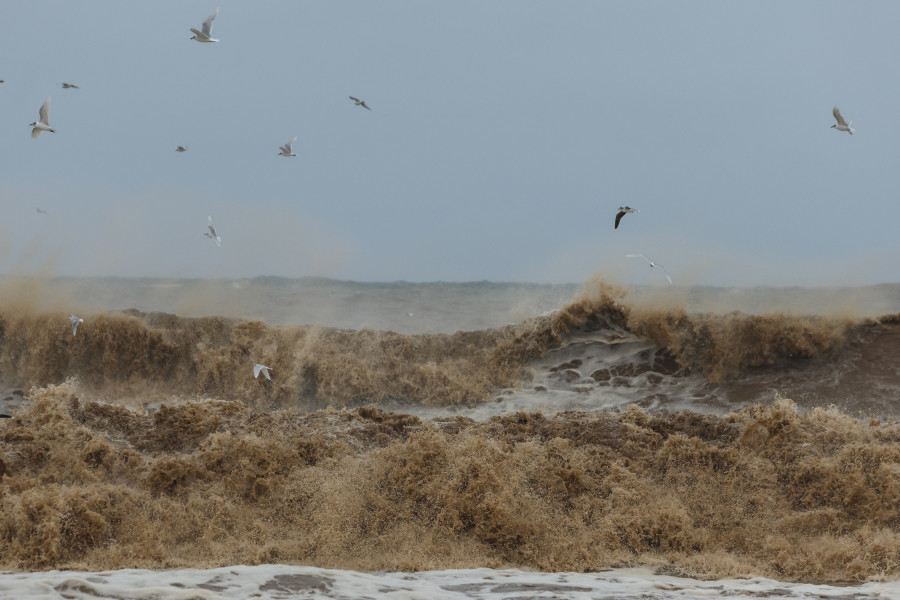 Αγιόκαμπος; Λάρισα; κακοκαιρία; βροχόπτωση; αέρας; Θεσσαλία; bad weather; severe weather; Larisa; Agiokampos; παράλια; θάλασσα; sea; seafront; Thessaly; φουρτούνα; κύμα; κύματα; waves; γλάροι; γλάρος;