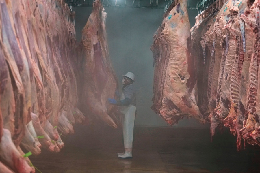 AP Top Photos of the Month July 2025