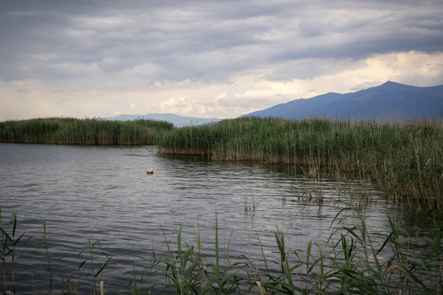 ΤΟ ΓΡΑΦΙΚΟ ΝΗΣΑΚΙ ΤΟΥ ΑΓΙΟΥ ΑΧΙΛΛΕΙΟΥ ΣΤΗ ΜΙΚΡΗ ΠΡΕΣΠΑ.ΦΩΤΟΓΡΑΦΙΑ ΓΙΩΡΓΟΣ ΚΟΝΤΑΡΙΝΗΣ/EUROKINISSI