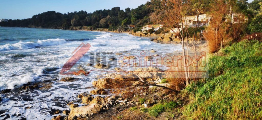 AGIOS_ANDREAS_060226