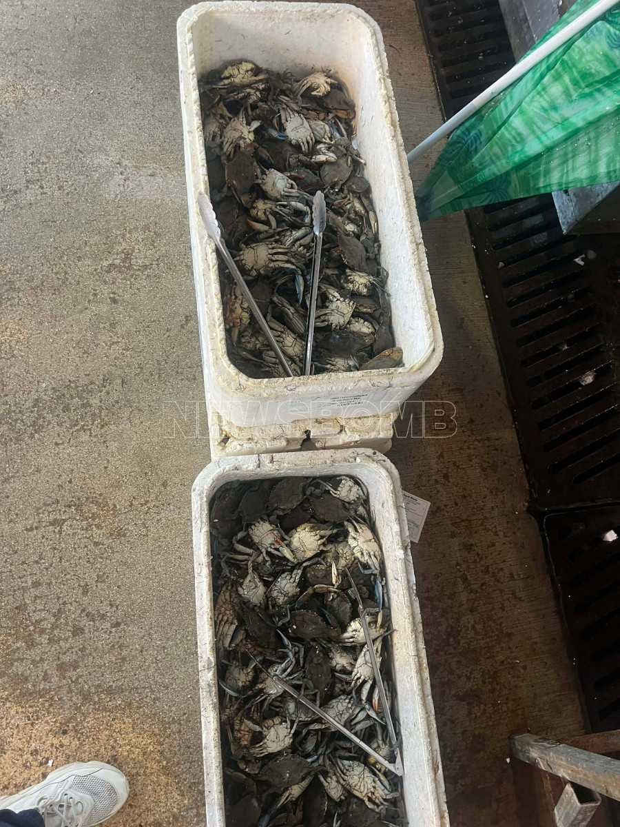 ΒΑΡΒΑΚΕΙΟΣ