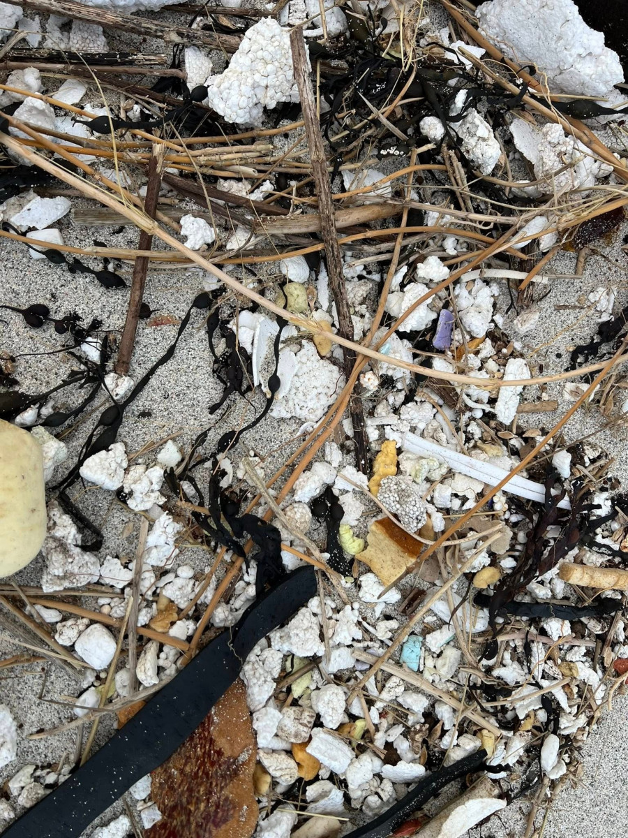 Παραλία - Σκωτία - Σκουπίδια