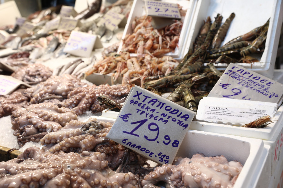 ΒΑΡΒΑΚΕΙΟΣ ΙΧΘΥΑΓΟΡΑ