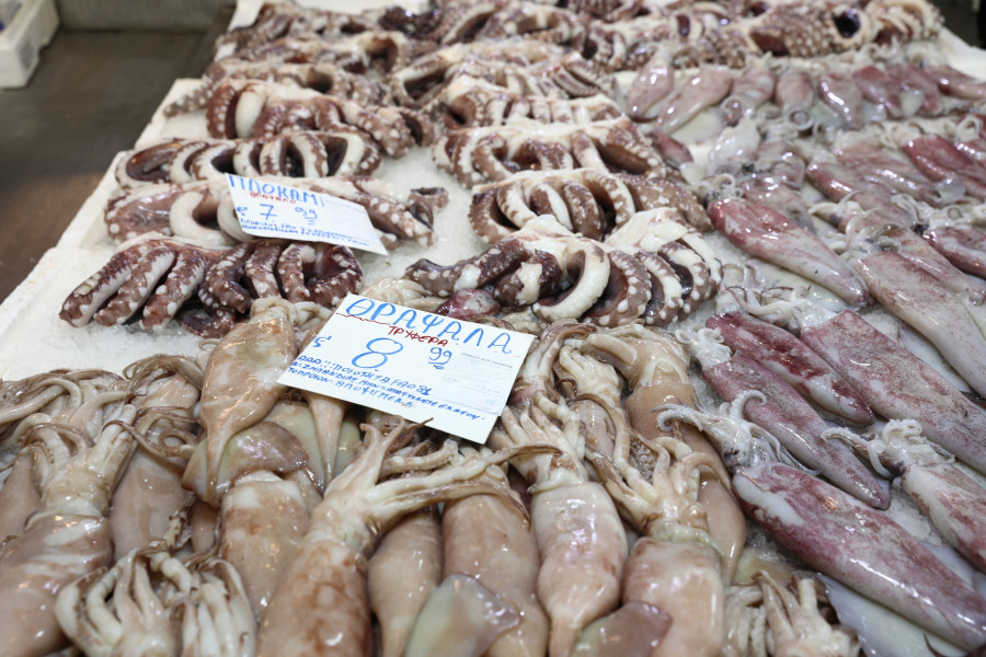 ΒΑΡΒΑΚΕΙΟΣ ΙΧΘΥΑΓΟΡΑ