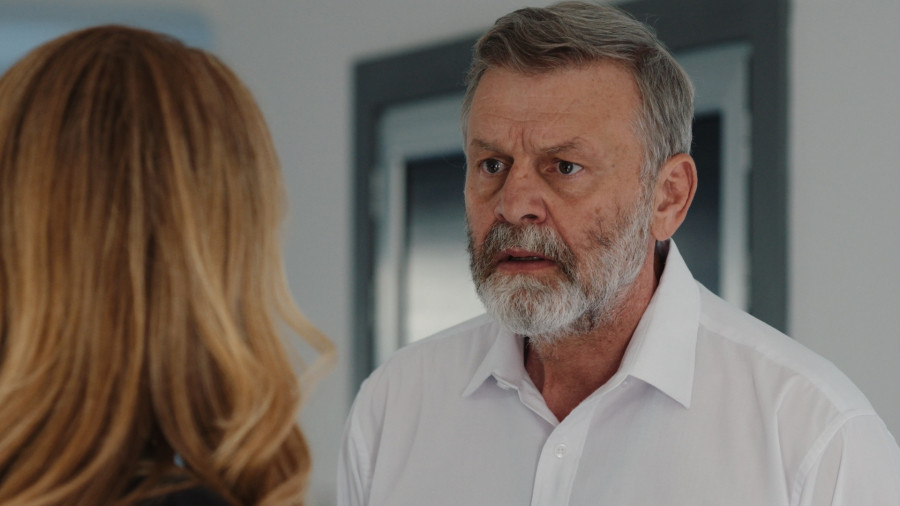 Η Γη της Ελιάς