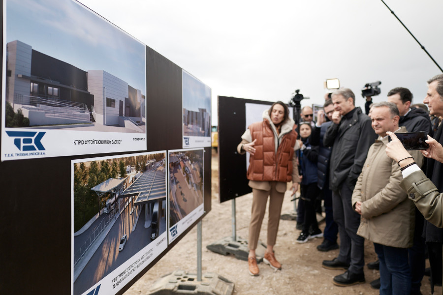 ΜΗΤΣΟΤΑΚΗΣ