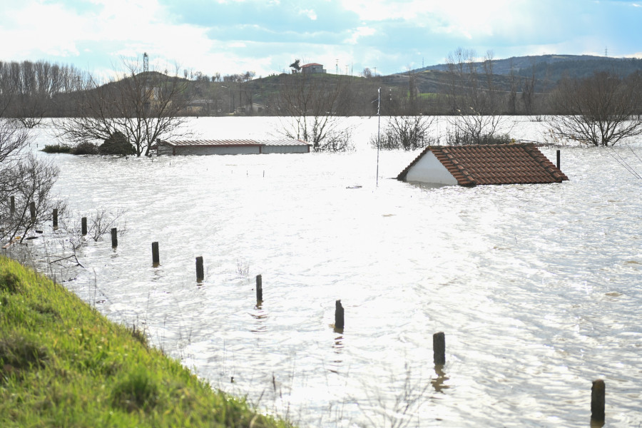 ΠΛΗΜΜΥΡΕΣ ΣΕ ΑΓΡΟΤΙΚΕΣ ΕΚΤΑΣΕΙΣ ΣΤΟΝ ΕΒΡΟ ΜΕΤΑ ΤΗΝ ΥΠΕΡΧΕΙΛΙΣΗ ΤΟΥ ΠΟΤΑΜΟΥ ΚΑΙ ΤΗΝ ΑΝΟΔΟ ΤΗΣ ΣΤΑΘΜΗΣ <br> ΠΕΡΙΟΧΗ ΛΑΒΑΡΑ ΨΑΘΑΔΕΣ ΠΥΘΕΙΟ <BR> ΦΩΤΟΓΡΑΦΟΣ: ΠΑΤΣΑΤΖΗΣ ΠΑΝΑΓΙΩΤΗΣ