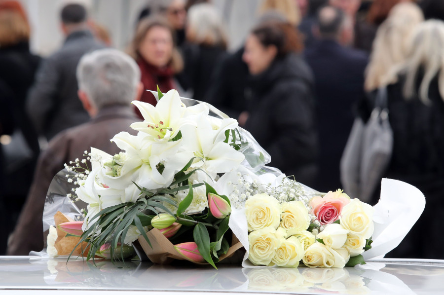 ΑΝΤΙΓΟΝΗΣ ΠΑΝΕΛΛΗ