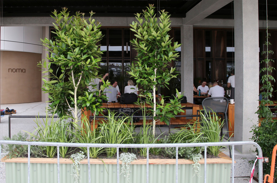 Australia Noma Popup