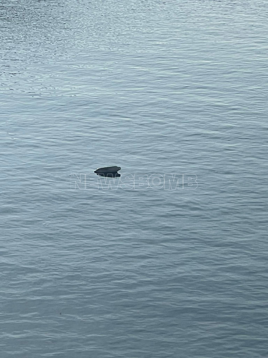 Βουλιαγμένη 