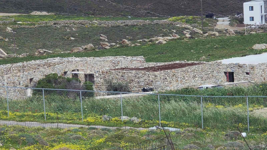 ftelia1.jpg