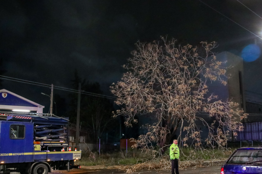 ΔIAKOΠH THΣ KYKΛOΦOPIAΣ TΩN OXHMATΩN ΣTHN OΔO ΠEIPAIΩΣ ΛOΓΩ ΠTΩΣHΣ ΔENΔPOY