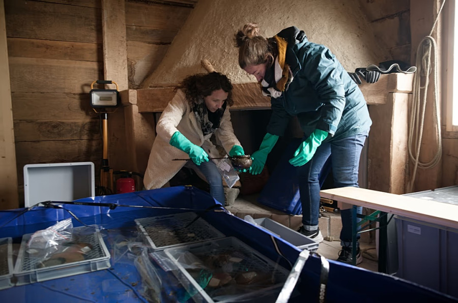 ελβετία - αρχαιολόγοι