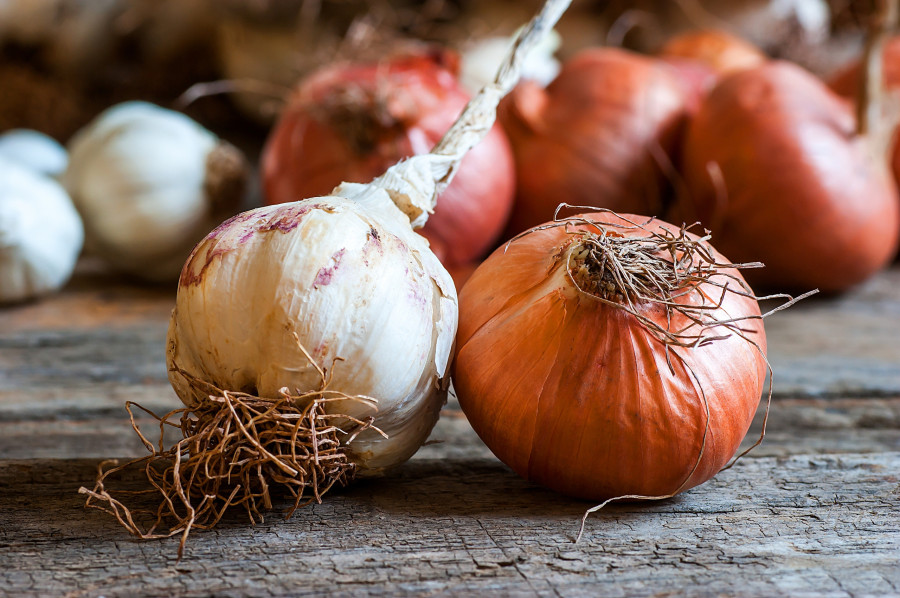 σκορδο κρεμμυδι