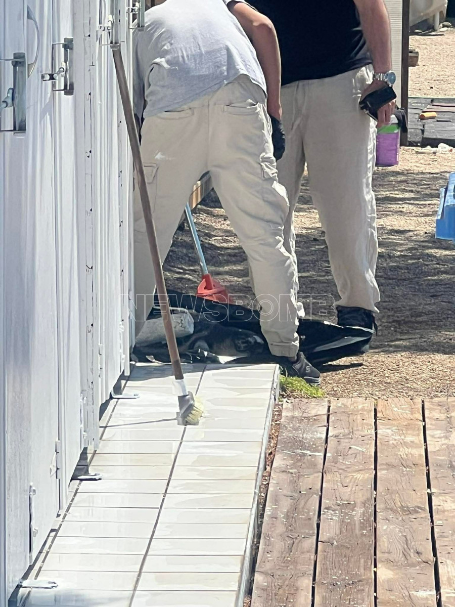 Νεκρή Χελώνα Άλιμος 