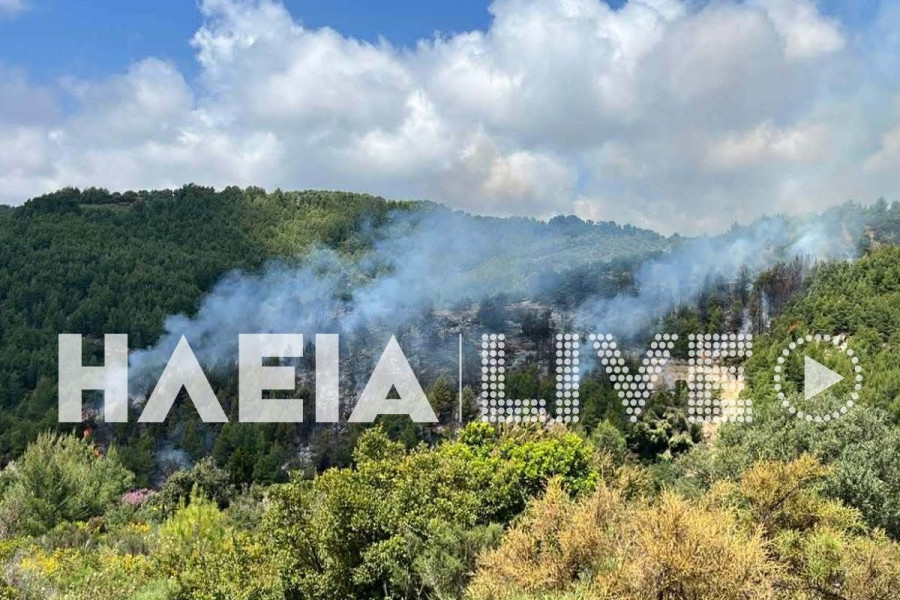 fotia nea figaleia 2