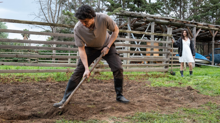 Δημήτρης Καπουράνης
