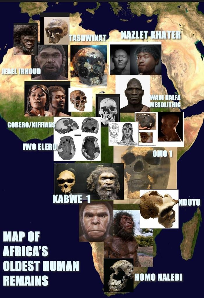 map-human.jpg
