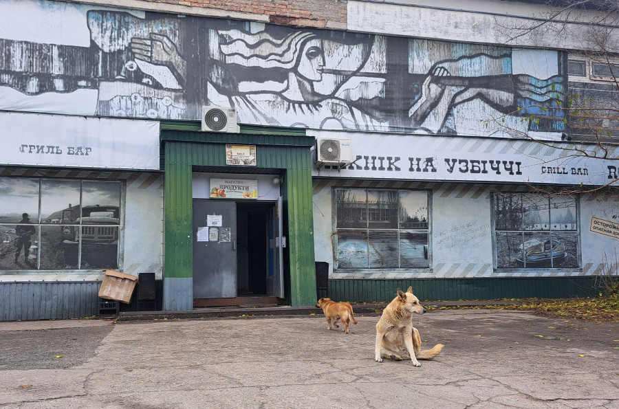 Street dogs in Chernobyl