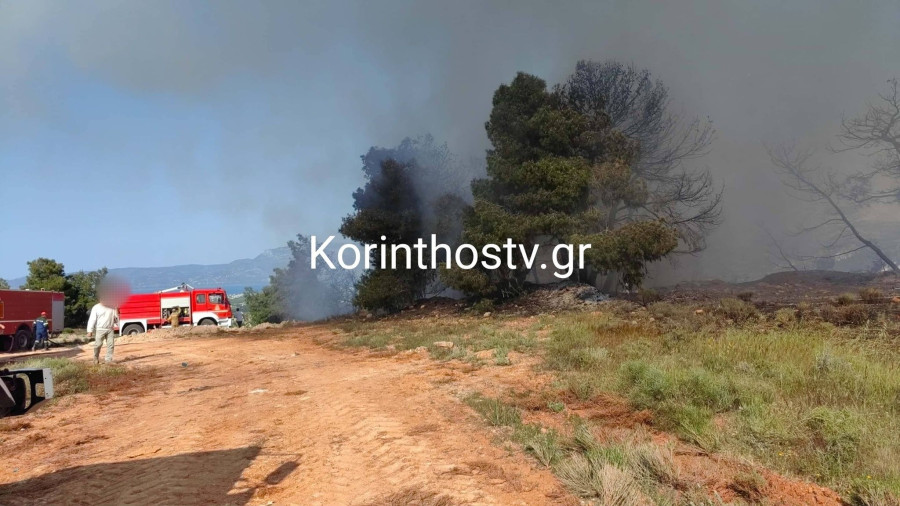 Μπορεί να είναι εικόνα φωτιά και κείμενο