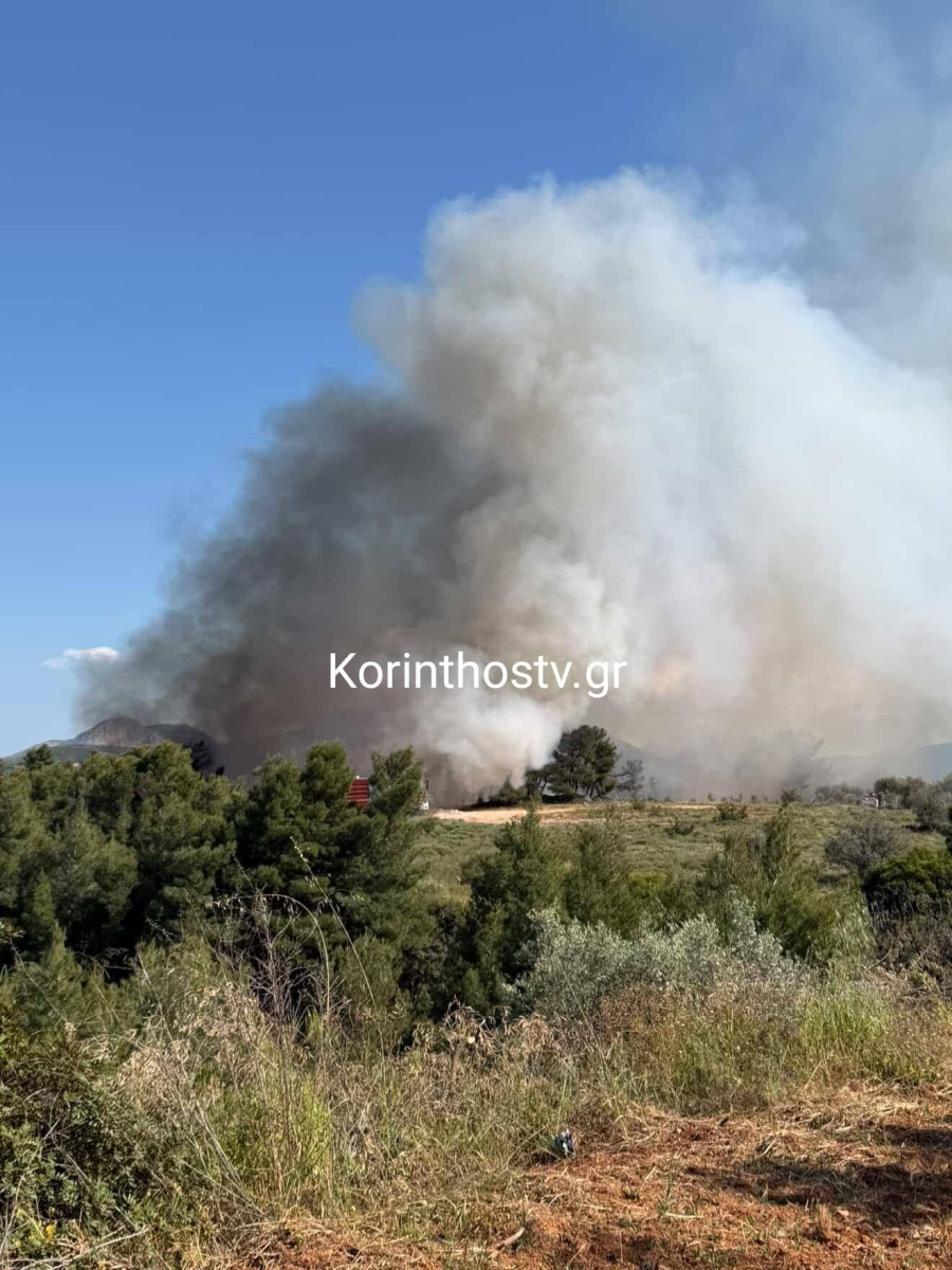 Μπορεί να είναι εικόνα φωτιά και κείμενο