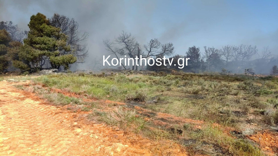 Μπορεί να είναι εικόνα κείμενο