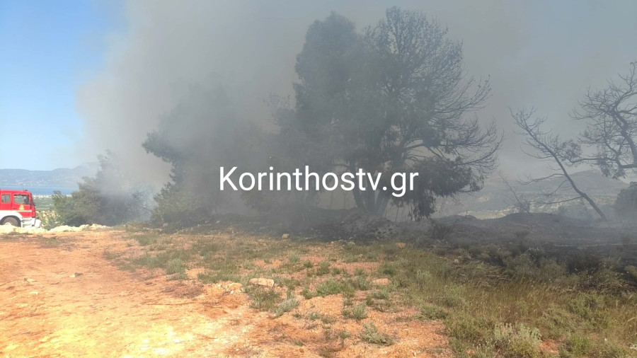 Φωτιά Ζευγολατιό