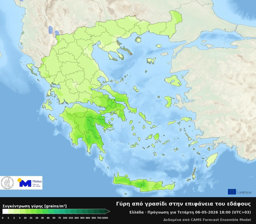 greecegrass39.jpg
